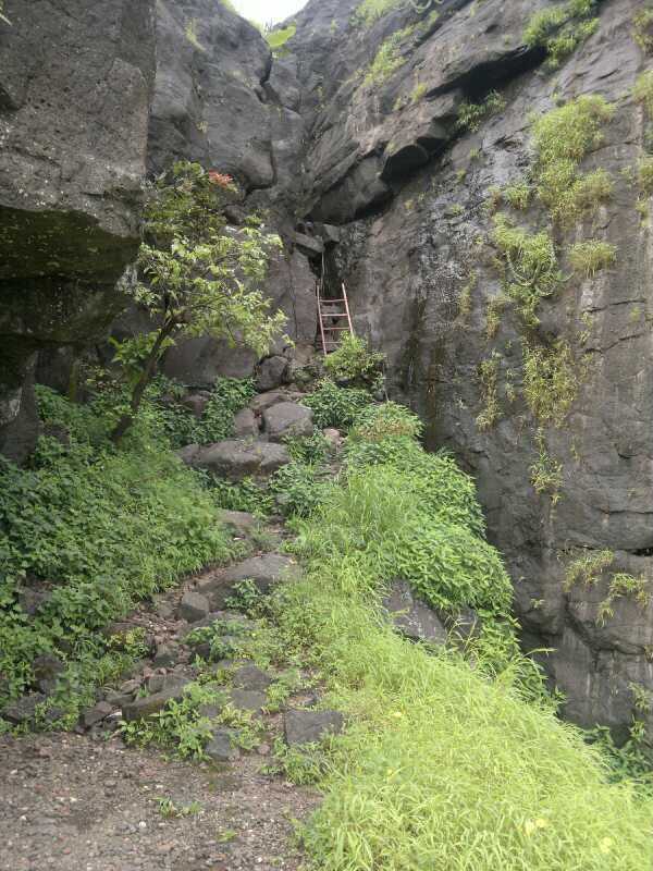 altAl_LlZHb4itTe8WQq9tU04eUel9zM1Jern9XLqd9dRkU_jpg