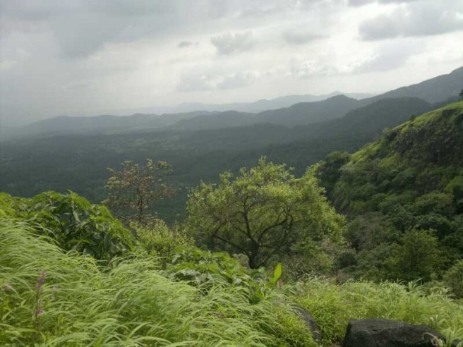 altAqvCcs-RXjW-nyUdC07BXPU5KLgy9X0jiFRy3bE1zuhe_jpg